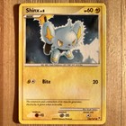 Shinx