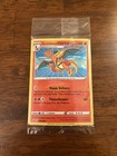 Special Delivery Charizard