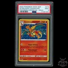 Special Delivery Charizard