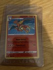 Special Delivery Charizard