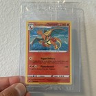 Special Delivery Charizard
