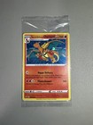 Special Delivery Charizard