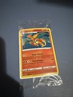 Special Delivery Charizard