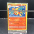 Special Delivery Charizard