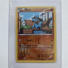 Riolu