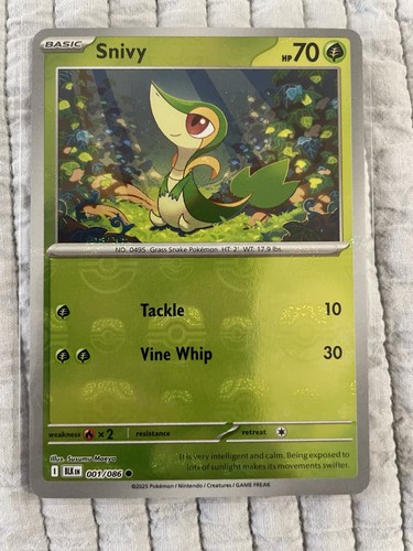 Snivy