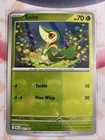 Snivy