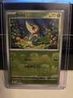 Snivy