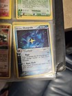 Sharpedo