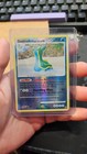 Gastrodon East Sea