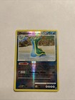 Gastrodon East Sea