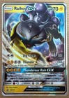 Raikou GX