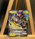 Raikou GX