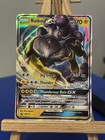 Raikou GX