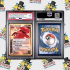 Team Magma's Groudon