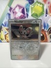 Minccino
