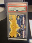Enter Zapdos