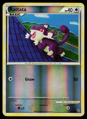 Rattata