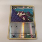 Rattata