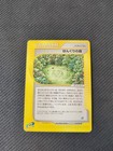 Apricorn Forest