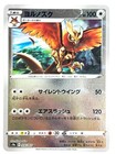 Noctowl