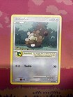 Bidoof