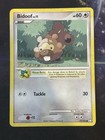 Bidoof