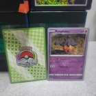 Pumpkaboo