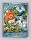 Castform Sunny Form