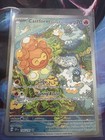 Castform Sunny Form