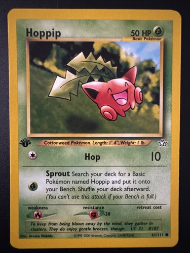 Hoppip
