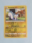 Pachirisu