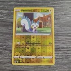 Pachirisu