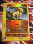 Ponyta