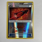 Magma Pointer