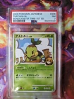 Turtwig