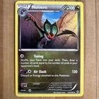 Noivern