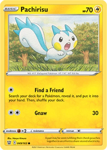 Pachirisu