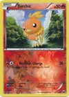 Torchic