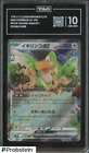 Squawkabilly ex