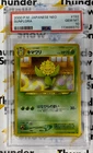 Sunflora