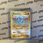 Doduo