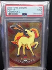 Ponyta