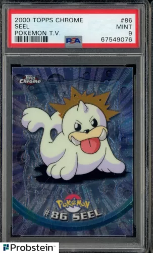 Seel