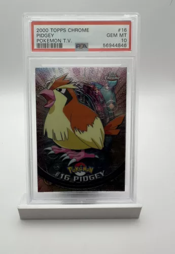 Pidgey