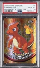 Charmeleon
