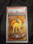 Ponyta