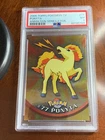 Ponyta