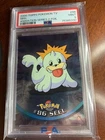 Seel
