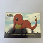 Charmander-the Stray Pokemon